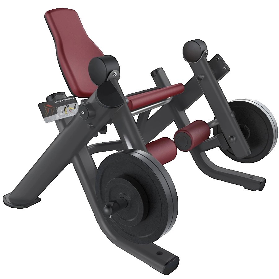 Seated Leg Extension