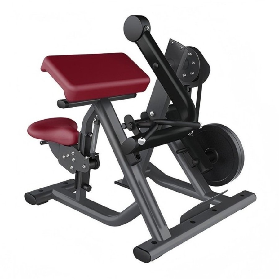 HQ5211 Biceps Exercise