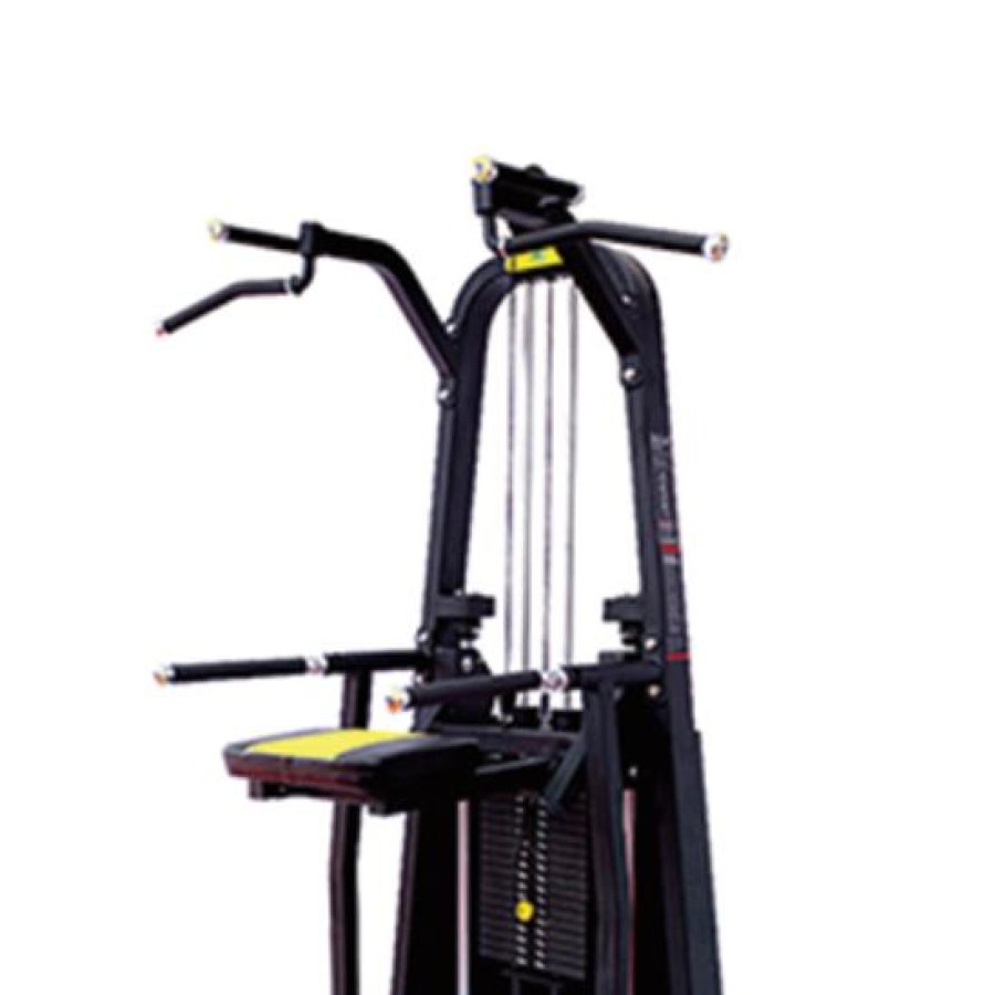 HQ1009 Dip/Chin Assist