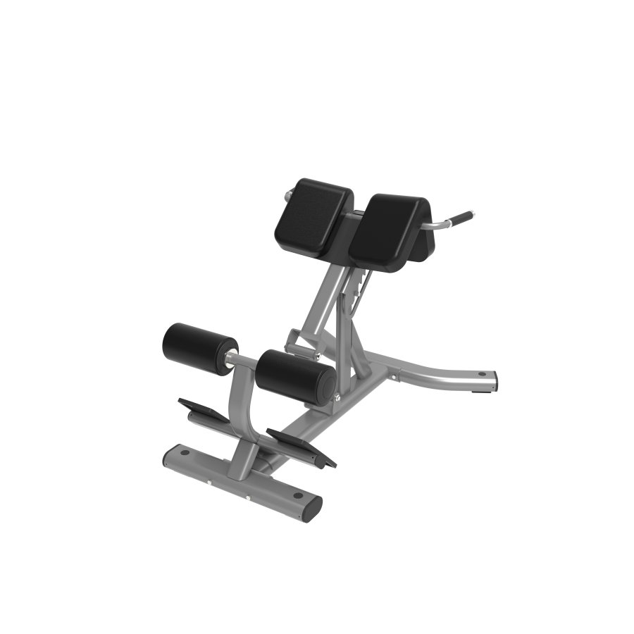 HQ5007 Exercise Machine Bench Gym Back Extension Bench Roman Chair