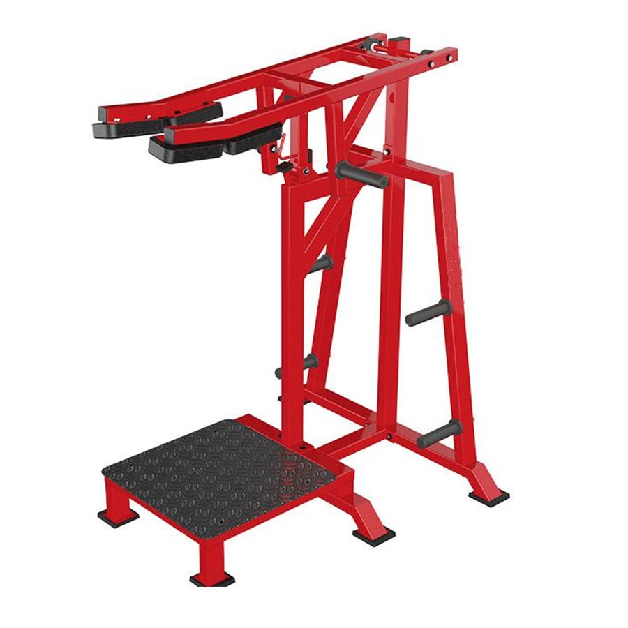 HQ3071	Standing calf