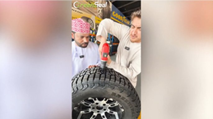 Greenseal Feedback: Middle East Customer Perspective