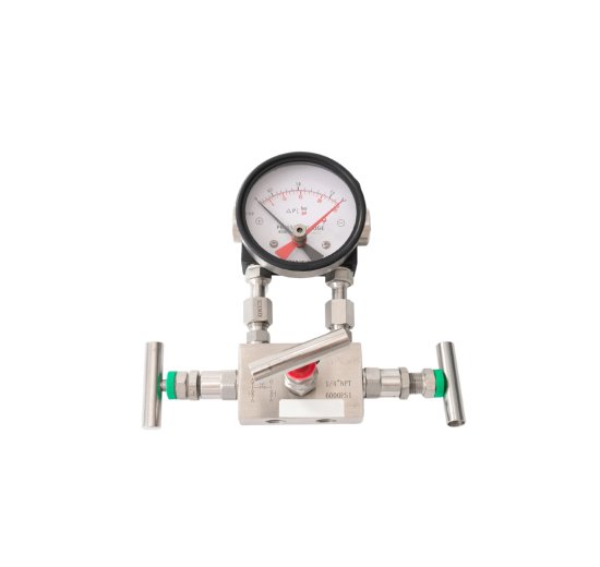 Differential Pressure Gauge
