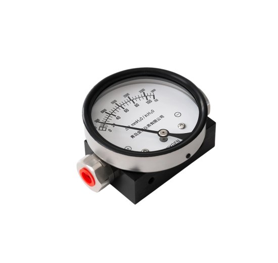 Differential Pressure Gauge