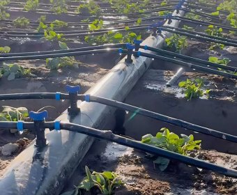 Drip irrigation system & project