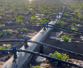 Drip irrigation system & project