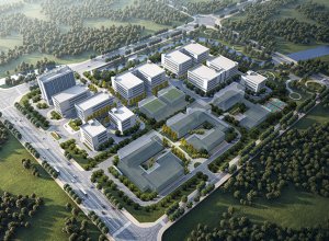 未标题-1_0007_图片7