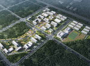 未标题-1_0001_图片2