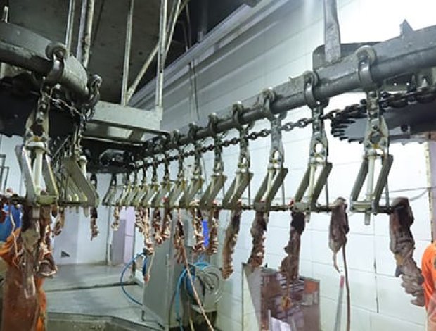 Elaboración de productos avícolas