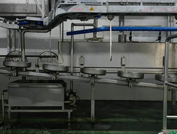 Inspección sanitaria sincrónica