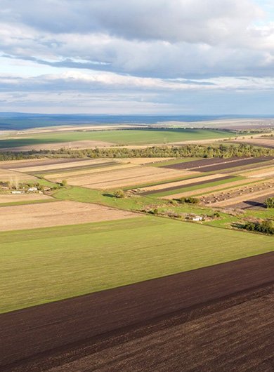 Farming