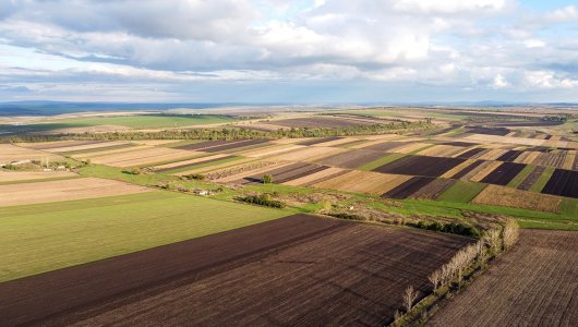 Farming