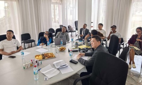 Delving Deep into the African Market and Empowering Cross-border Cooperation | Li Guomei, President of the Tanzanian Chinese Chamber of Commerce, Conducts Special Docking for Equipment Procurement in Madagascar