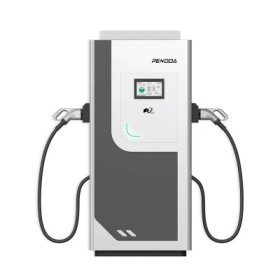 Dual output DC and AC EV charging station