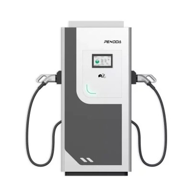 Dual output DC and AC EV charging station