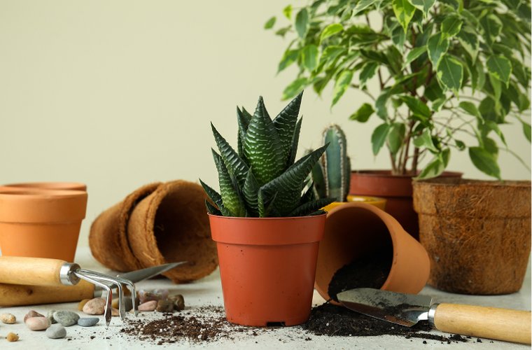 Maceta de plástico para flores