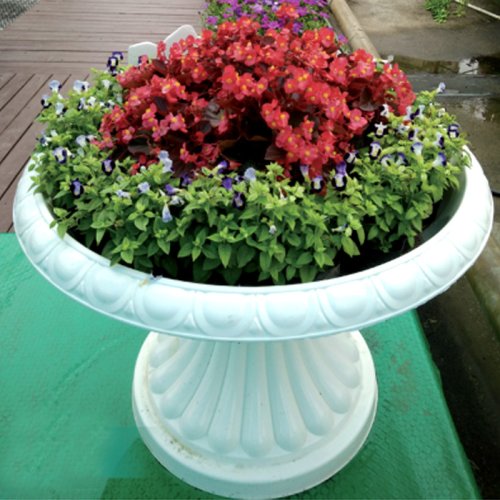 Maceta de flores de estilo europeo