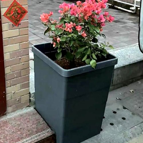 maceta de plástico