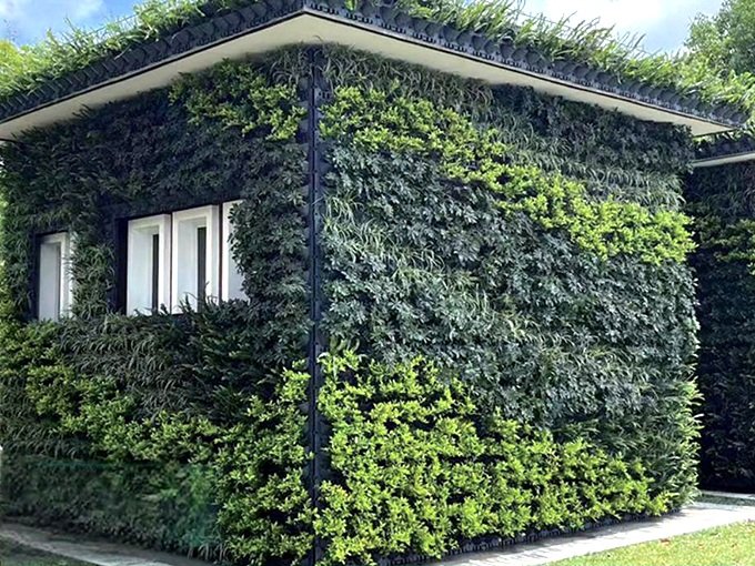Pared de plantas de interior
