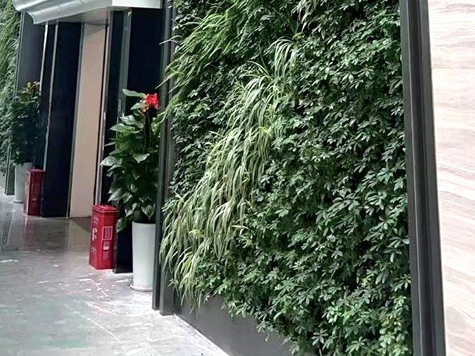 Pared de plantas de interior