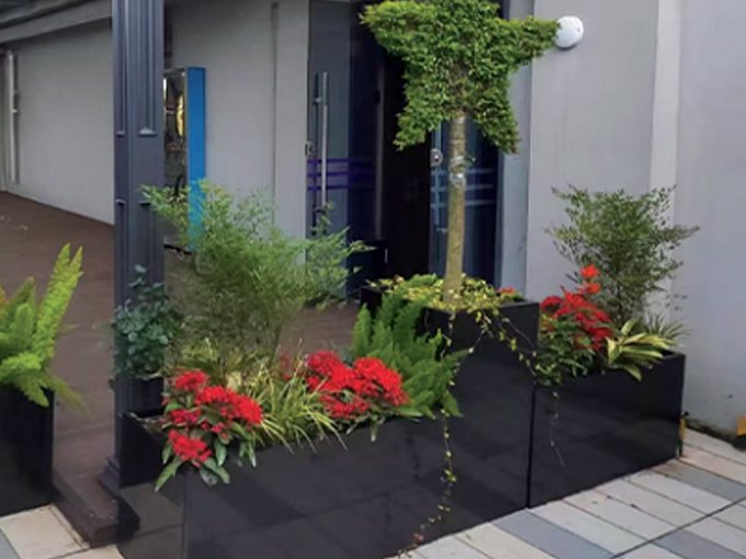 Terraza