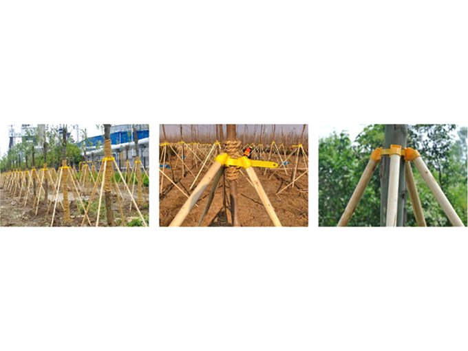 Soporte para árboles