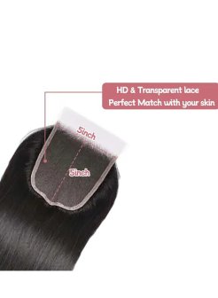 Brazilian Virgin 5x5 Lace Closure Straight Human Hair