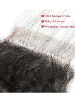 5x5 Lace Human Hair Closure Virgin Hair Water Wave