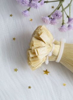 Professional Salon Grade Flat Tip Extensions  #22
