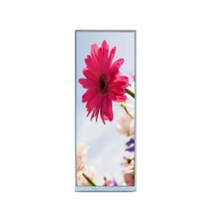 TX081-40MB-A1